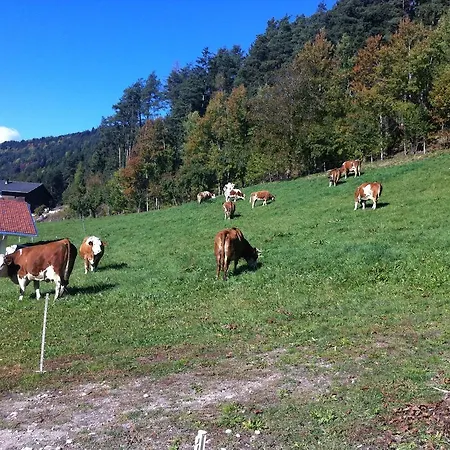 Appartament Eichnerhof *